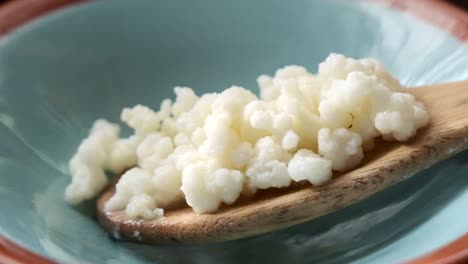 Dry-kefir-grains-on-a-wooden-spoon