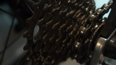 extreme close-up: bicycle rear sprocket cassette spins during service