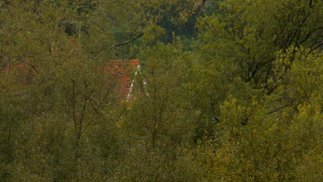 slow-zooming-to-gable-end-of-a-house-hidden-between-the-trees-in-the-New-Forest