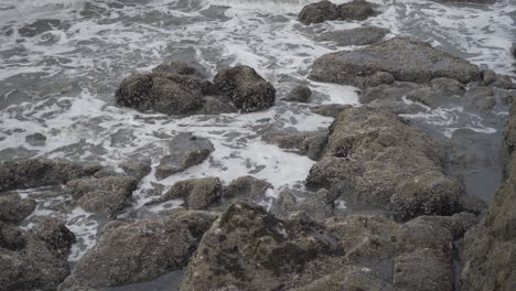 waves crashing on the rocks and the tidepools in tofino british columbia canada