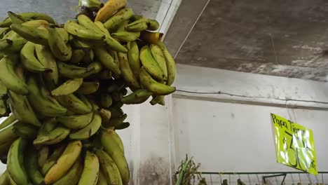 plátanos colgando del techo