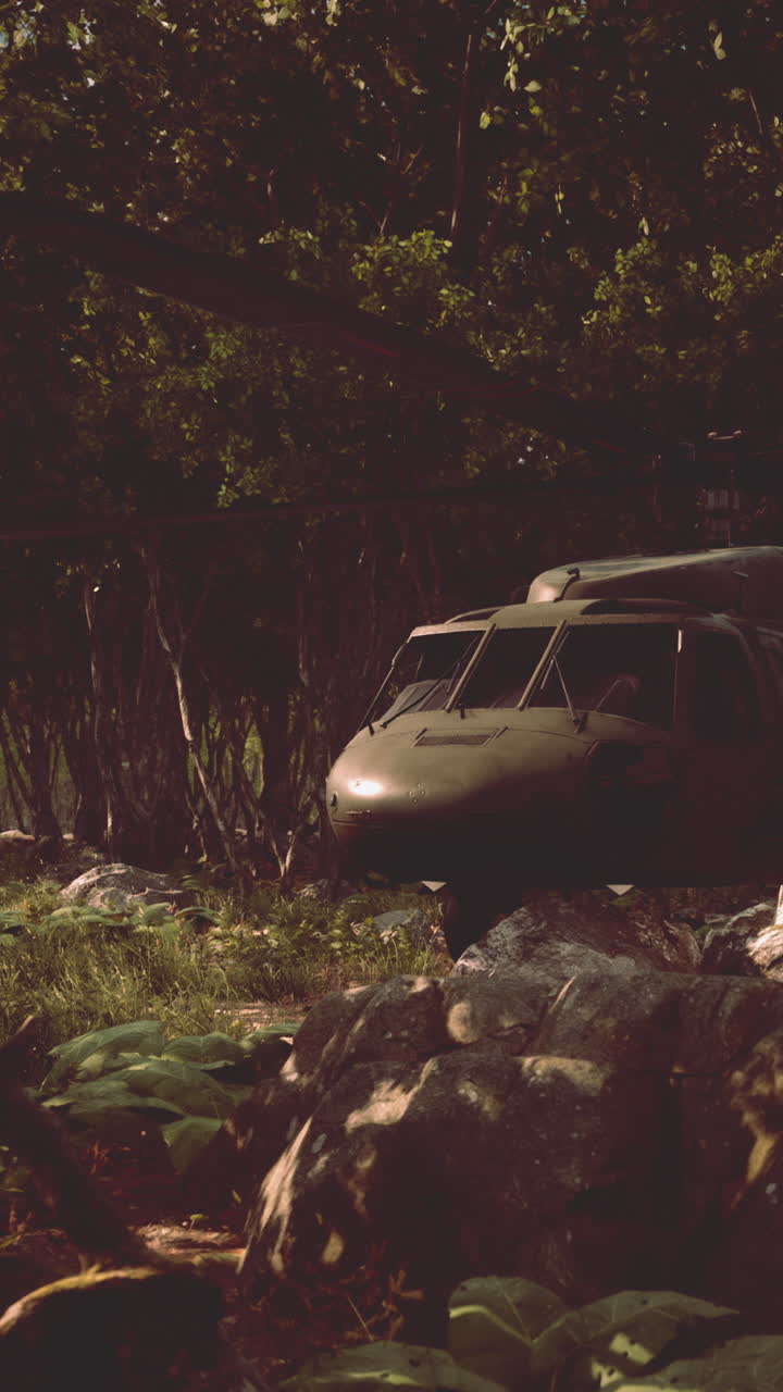 군용 헬리터가 정글에 앉아 있습니다.