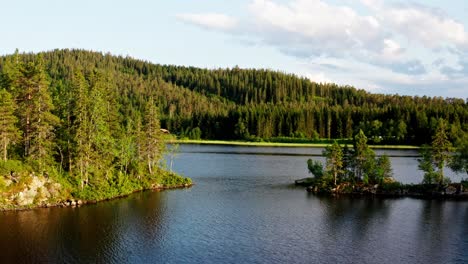 scenic view of coniferous mountains with peaceful water river during summer in the islands of norway