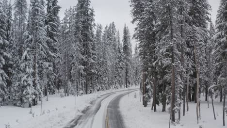Snowy-road-through-a-dense-and-snow-covered-forest