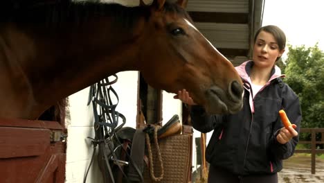 bonita morena con su caballo comiendo zanahoria