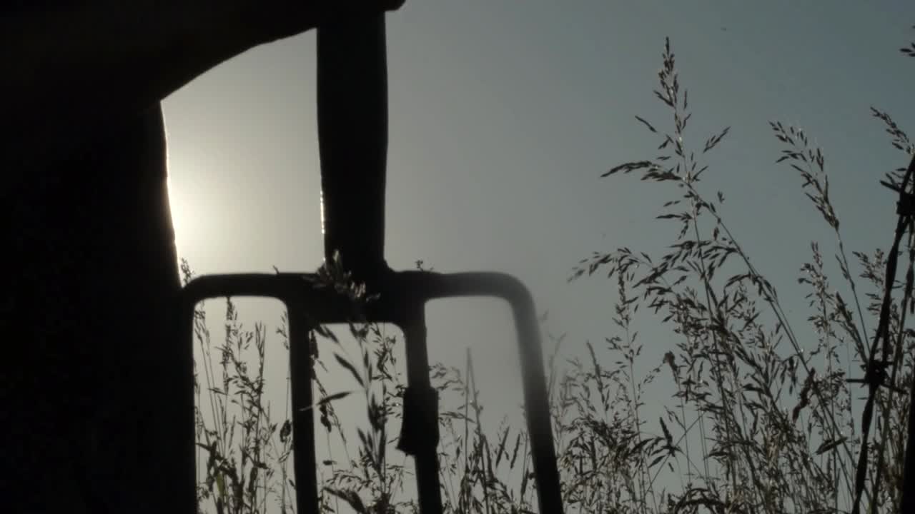 햇빛에 포크로 들판을 파다