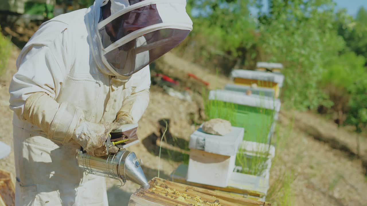 A beekeeper using a smoker on a beehive