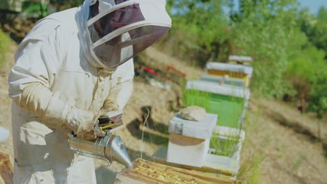 a beekeeper using a smoker on a beehive
