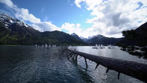 fallen tree into the waters of beautiful lake surrounded by mountains