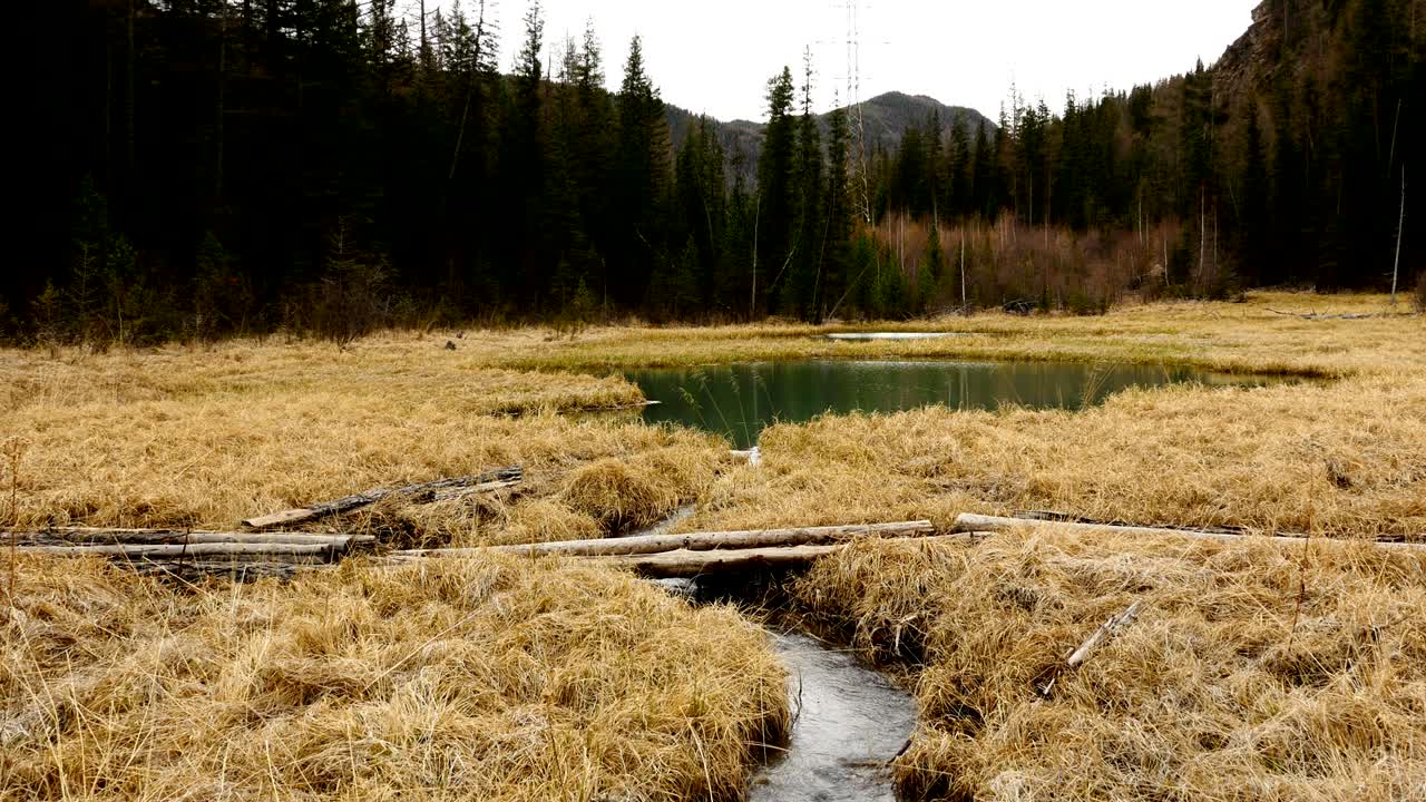 Ponds and Creek in Mountains Seamless Loop Footage