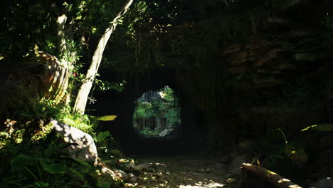 a dark and mysterious passage through a lush jungle