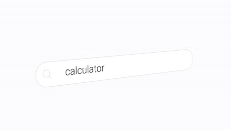 Typing-Calculator-on-the-White-Search-Box