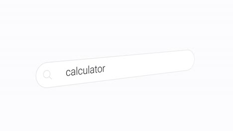 typing calculator on the white search box