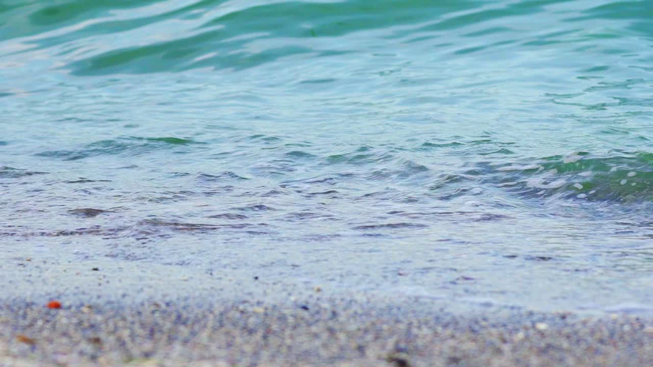 Sea waves with green algae cover sandy shore forming foam on a hot summer day. Close-up. Wonderful view.