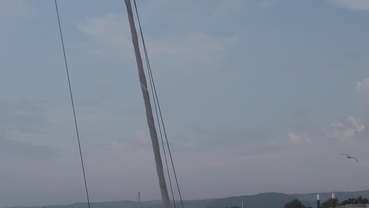 천천히 움직이는 새들이 하늘을 날아다닙니다.