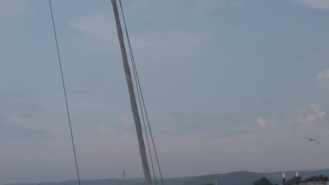 slowmotion birds fly in sky