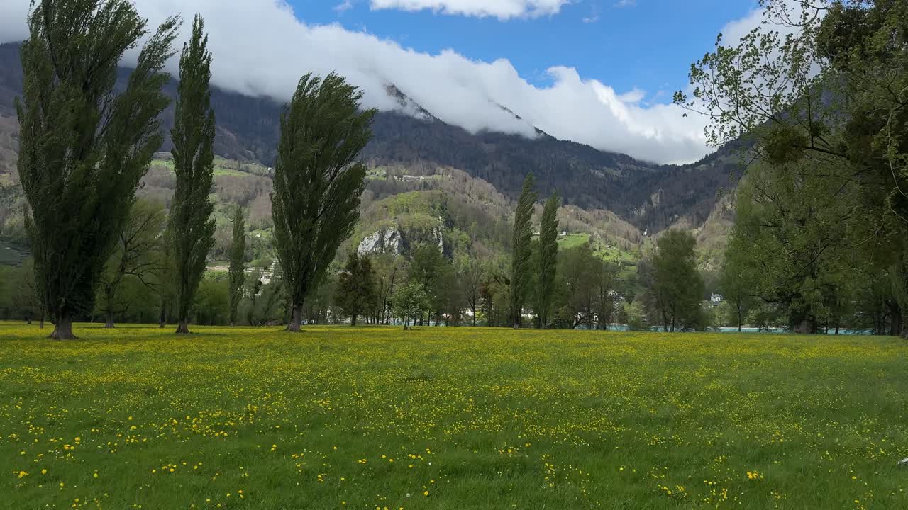Outdoor nature landscape field with forest Switzerland forest hills mountains