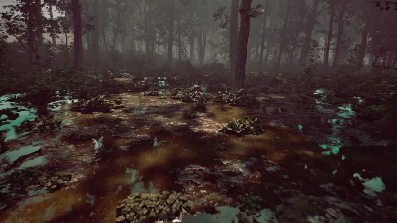 y el bosque nebuloso pantano oscuro
