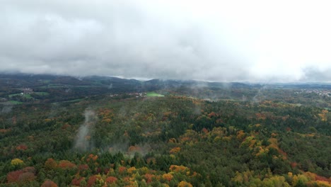 misty autumn forest in the morning - aerial drone shot