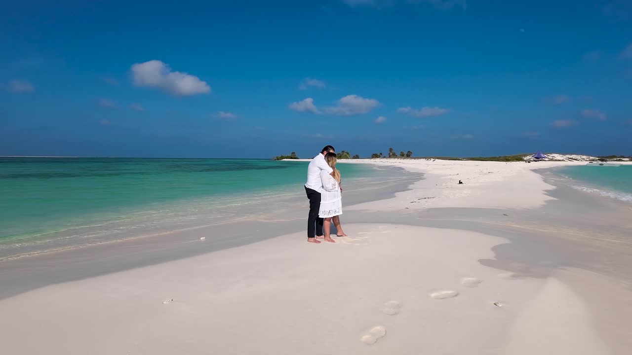 Couple Hugging Watching Sea On Lonely White Sand Beach, Romantic Honeymoon  Travel Free Stock Video Footage Download Clips Holidays