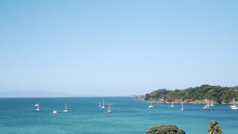 SLOWMO---Panning-shot-of-many-sailboats-in-bay-on-Waiheke-Island,-New-Zealand