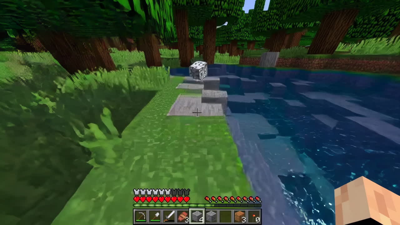 Minecraft Gameplay Screenshots