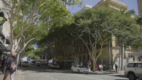 Pan-Inclinado-Desde-El-Ayuntamiento-De-Brisbane-En-King-Eorge-Square-Hasta-Adelaide-Street-Con-Autobuses