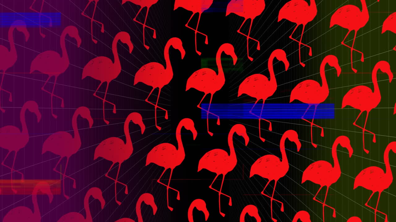 어두운 배경에 분홍색 플라밍고에 대한 다채로운 혼합 효과