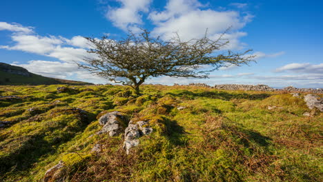 panorama motion timelapse of rural nature farmland with single tree and field ground rocks in the foreground during cloudy sunny day viewed from carrowkeel in county sligo in ireland