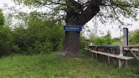 Panning-from-the-left-to-the-right,-in-front-of-a-tree-that-is-a-landmark-in-the-neighborhood-of-Tsarichina-Hole-in-Bulgaria