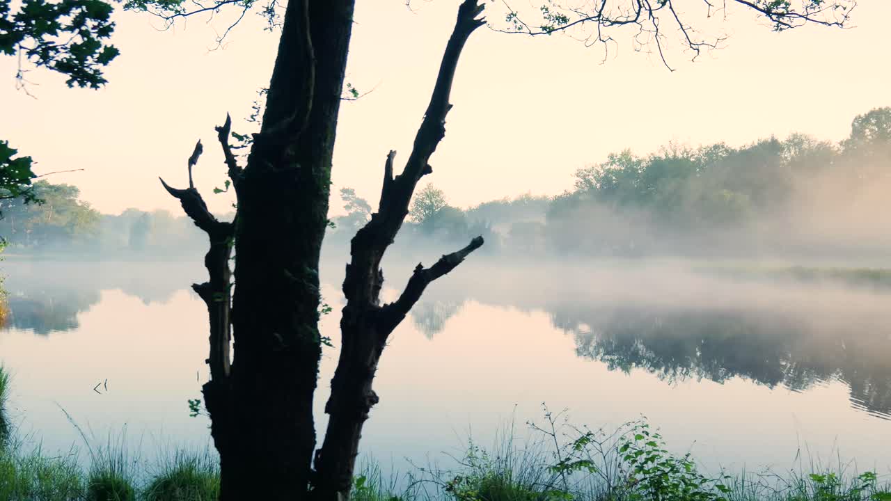 안개가 가득한 아침 풍경