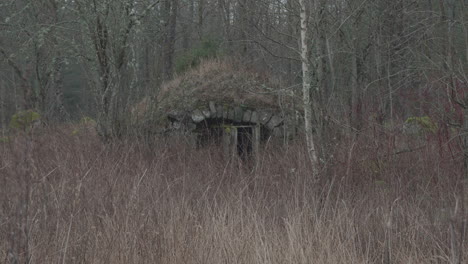 verlassener keller mitten im nirgendwo