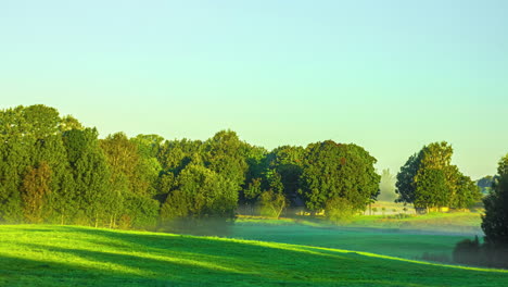 summer, autumn, winter time lapse through the seasons in a misty meadow