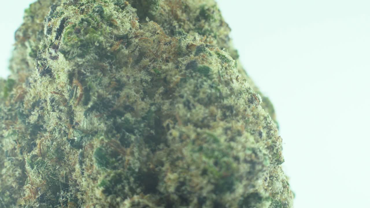 Macro Close up shot of a Marijuana sativa Super Lemon Amnesia Haze rock flowers, yellow, green and purple Kush, on a 360 rotating stand, in a black shiny bowl, Slow motion 4K video