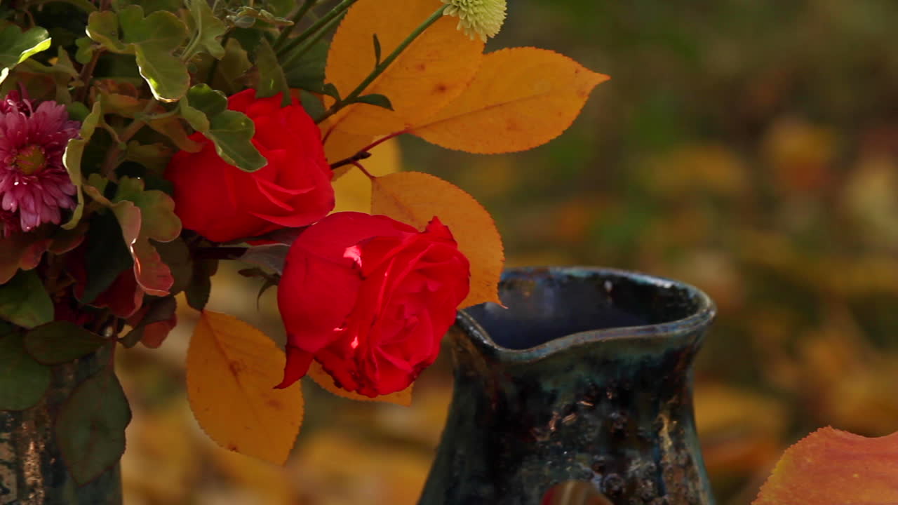 Fiori del Ringraziamento in vaso su un tavolo all'aperto in giardino