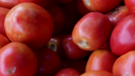 tomates orgánicos frescos de la granja de cerca desde un ángulo diferente