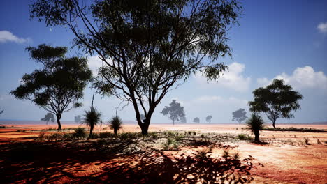 Afrikanische-Landschaft-Mit-Akazienbäumen