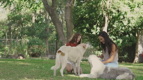 young women pet dogs outdoor