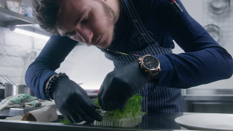 the cook cuts pieces of microgreens to decorate dish