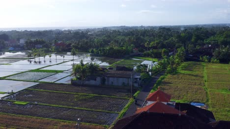 Häuser-Inmitten-Von-Reisfeldern-Im-Balinesischen-Dorf-In-Der-Nähe-Von-Seseh-In-Indonesien