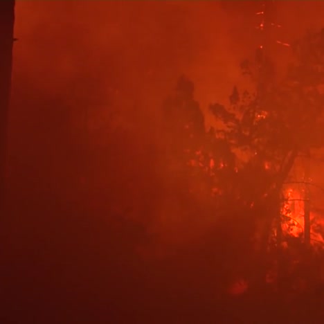 Un-Incendio-Forestal-Se-Desata-En-Un-Bosque