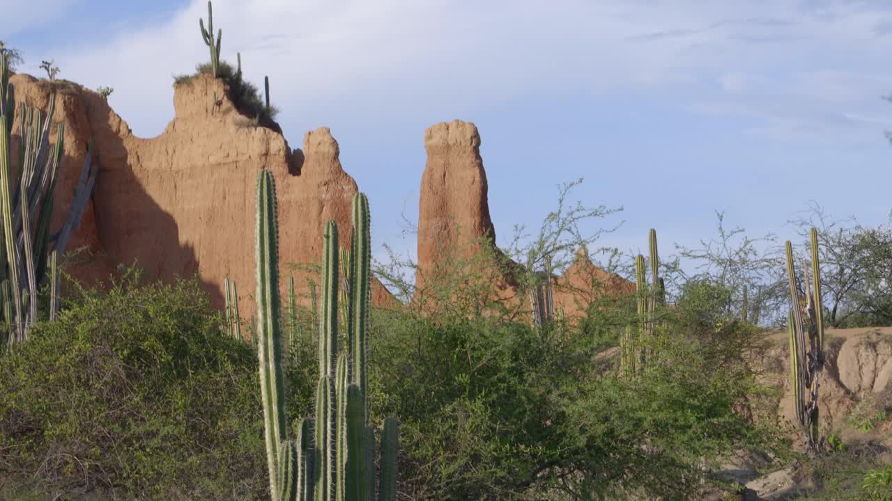 Dry tropical forest Tatacoa desert Colombia nature landscape South America