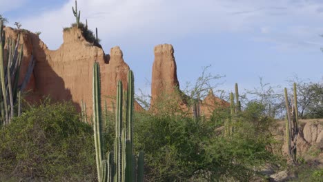 Dry tropical forest Tatacoa desert Colombia nature landscape South America