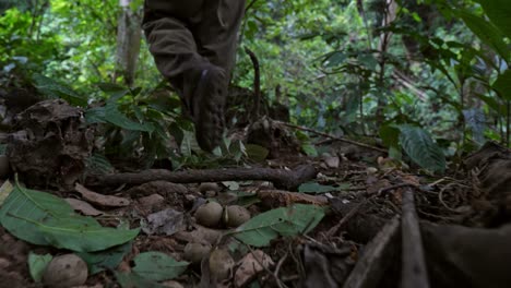 legs of hunter walking in forest