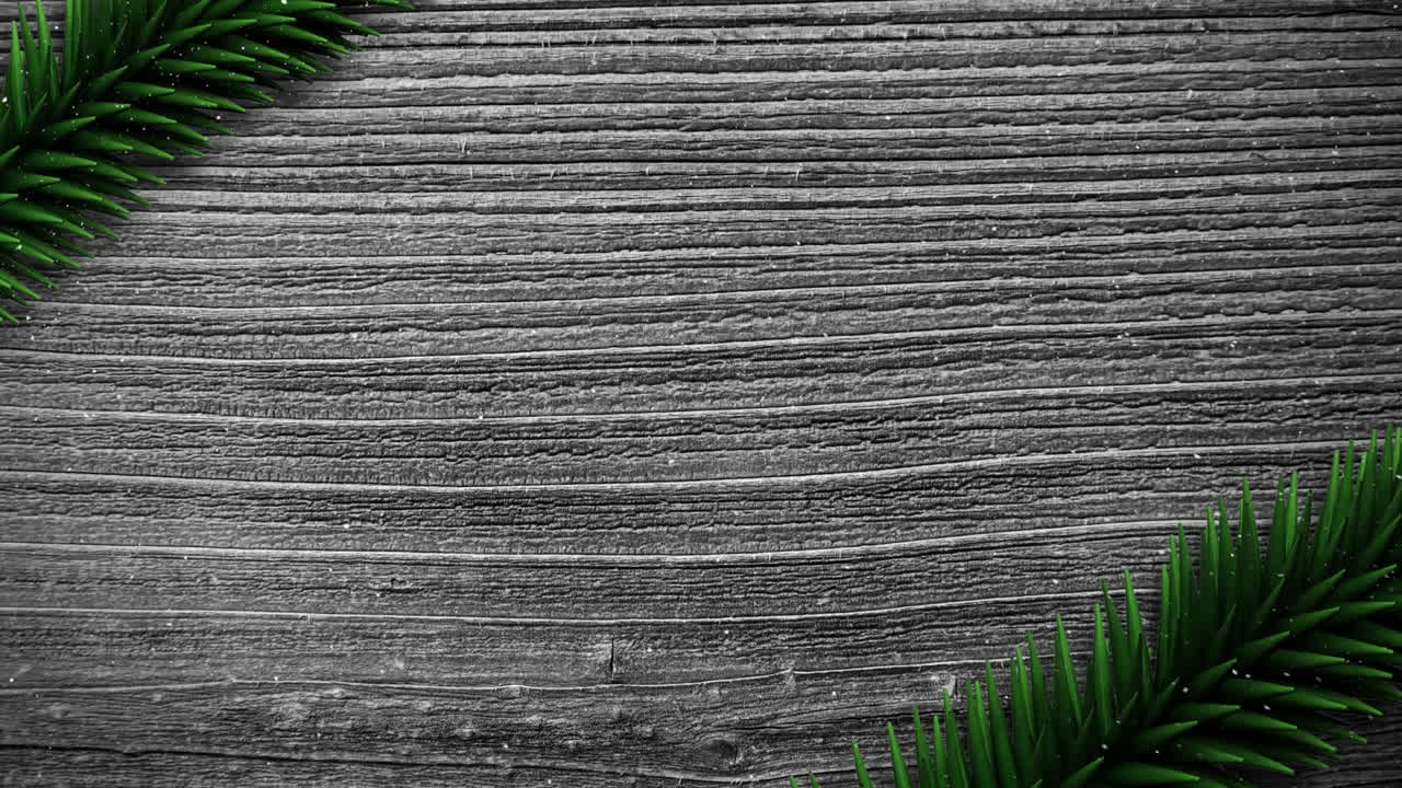 composición de video con nieve sobre pino en madera