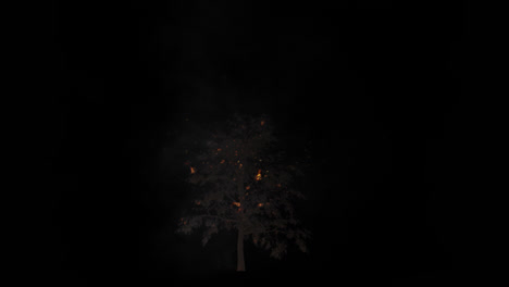 burning tree at night