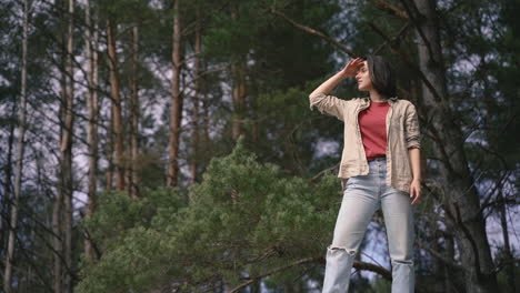 a pretty brunette girl looks out over the horizon in the forest