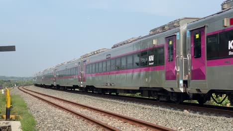 passenger train passes through rural rice fields, curved double track