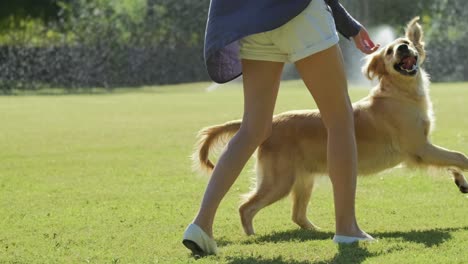 young girl with beautiful legs playing with her golden retriever dog in the summer park on the green grass