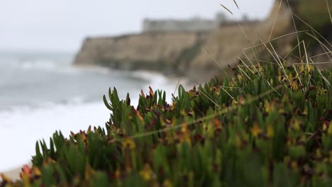 cinematic rack focus of half moon bay cliff coastline and luxury resort